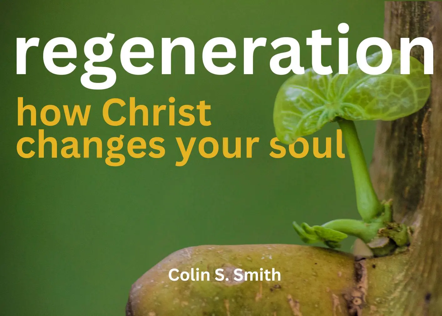 this is the featured image of the Regeneration series