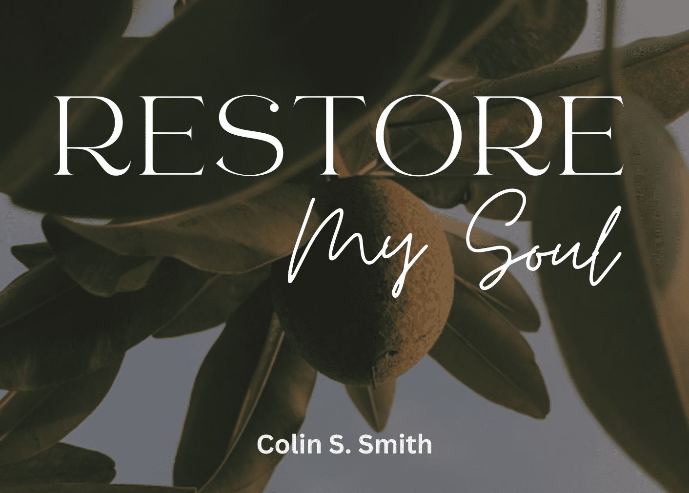 this is the featured image of the Restore My Soul series